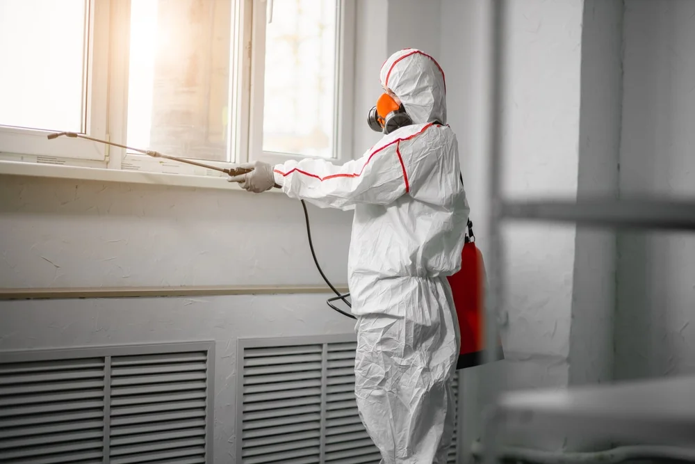Professional mold remediation services in Stockton, UT